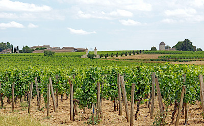 Vineyards abound: Saint-Émilion, Bordeaux Wine Tour in southwestern France. Flickr:Dennis Jarvis