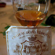 Bordeaux Wine Country Photo