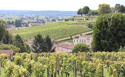 Vineyards around Saint-Émilion, France. Flickr:Julien Lavergne