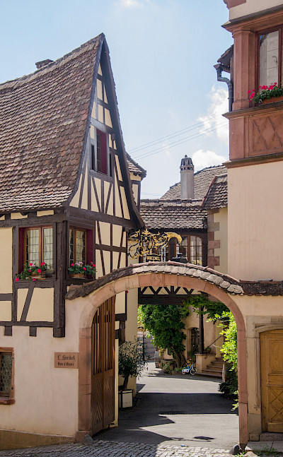 Biking through the Alsace region of France. Flickr:Valentin R.