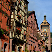 Breisgau & Alsace Wine Road Photo
