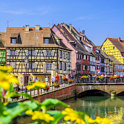 Breisgau & Alsace Wine Road Photo