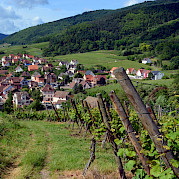Breisgau e Rota do Vinho da Alsácia Foto