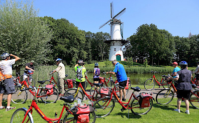 Biking past windmills in Tholen, Netherlands.
