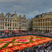 Brussels to Amsterdam Photo