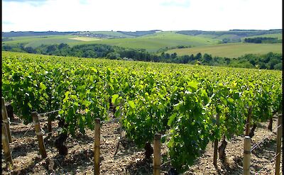 Chablis, Burgundy, France. Flickr:Peter