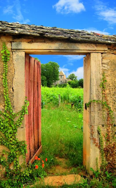 Open door to the vineyards in Burgundy, France. Flickr:MW Pics