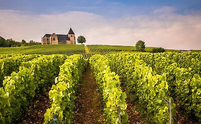 Vineyards all over France! Flickr:Winniepix