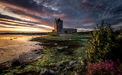 Dunguaire Castle near Kinvara, Ireland. Flickr:Bernd Thaller 