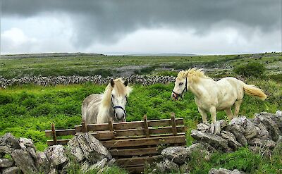 Clare & the Burren bike tour. unsplash:Sterling Lanier