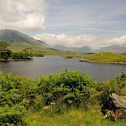 Connemara Photo