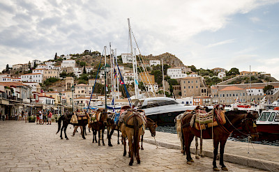 Taxis await on Hydra Island, Cyclades, Islands, Greece.