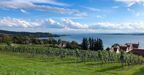 Photo Friday: Lake Constance