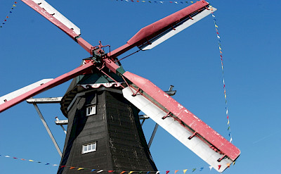 Windmills aplenty in Drenthe, Holland. Photo courtesy of Netherlands Board of Tourism