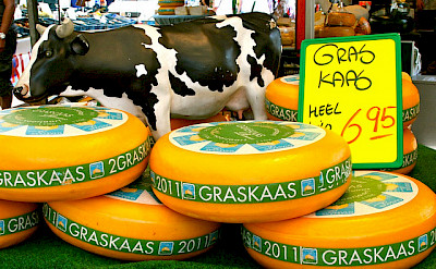 Famous Dutch cheese wheels at market in the Netherlands. Photo via Flickr:Ann Marie Michaels