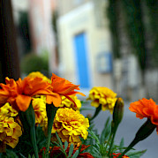 Famous Villages of Provence Photo