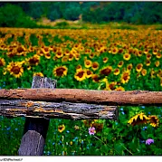 Famous Villages of Provence Road Bike Tour Photo