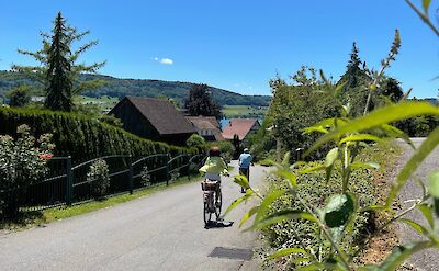 Cycling along the Bodensee! ©Gea