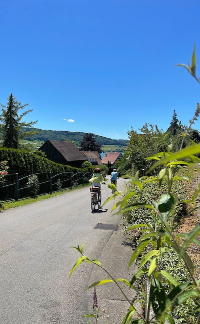 Cycling along the Bodensee! ©Gea