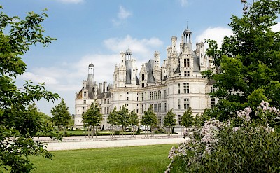 Chateau viewed through flowers and trees, Chambord, France. Unsplash@Dorian Mongel