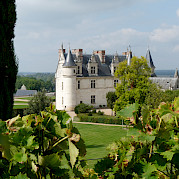 Luxury Castles of the Loire Photo