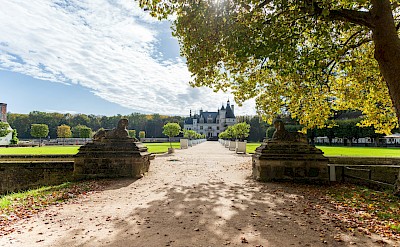 Sunlit pathway to the chateau, Chenonceaux, France. Unsplash@Fernando Mola Davis