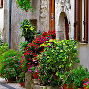 Green Hills of Abruzzo Photo