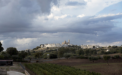 Locorotondo exemplifies Puglia's characteristic white architecture. Flickr:Biggs