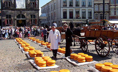 Cheese Market in Gouda