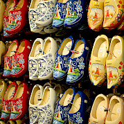 Holland in a Nutshell - a Tulip Tour Photo