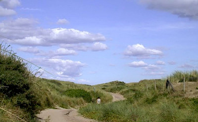Dutch bike path through the dunes to the shore.