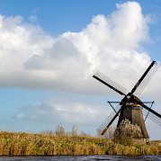 Holland in a Nutshell - a Tulip Tour Photo