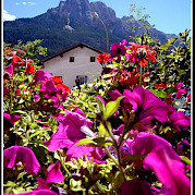 Innsbruck to Bolzano Photo