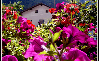 Bolzano, Italy. Photo via Flickr:elgarydaly