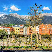 Innsbruck to Bolzano Photo