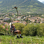 Innsbruck a Bolzano Foto