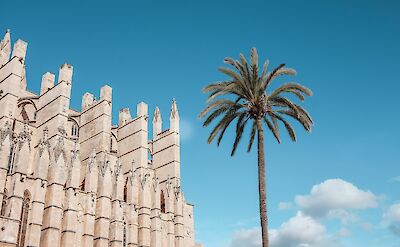 Cathedral and palm tree, Palma de Mallorca, Spain. Unsplash@Anqi Lu