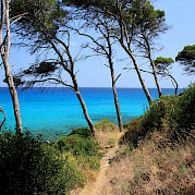 Maiorca Foto