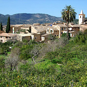 Mallorca Photo