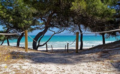Path to the beach in Alc&uacute;dia, Mallorca, Spain. Unsplash@Alex Kulikov