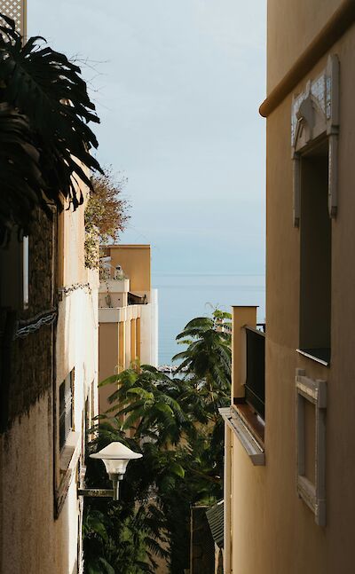 View from a hill in Mallorca, Spain. Unsplash@Polina Kuzovkova
