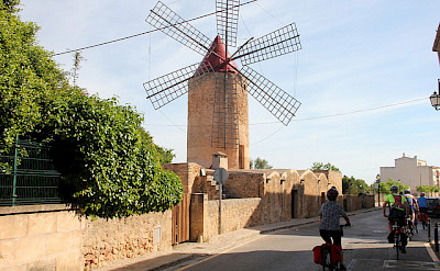 Bikers admiring the windmill in Mallorca. Photo courtesy of Tour Operator.