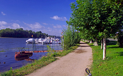 Eltville on Rhine River, Germany. ©TO