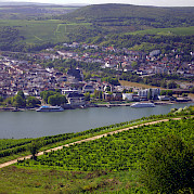 Koblenz a Bad Wimpfen Foto