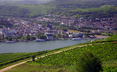 Overlooking Rüdesheim am Rhein & Bingen, Germany. ©TO