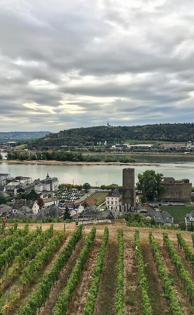 Rüdesheim am Rhein, Germany. Flickr:Martin Fisch