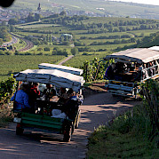 Coblenza a Bad Wimpfen Foto