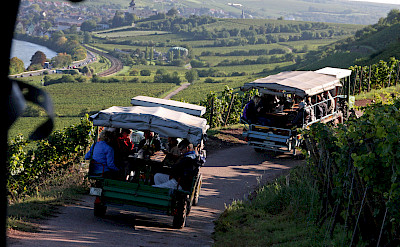 Wine tasting on the Koblenz to Bad Wimpfen Germany Bike Tour. ©TO