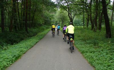 Biking the famous Niepołomice Forest in Poland. Flickr:IPlayHockey 