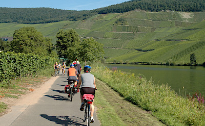 Vineyards galore on Koblenz to Saarburg Germany Bike Tour. ©TO